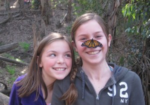 Monarch Butterflies at Coronado Preserve in Santa Barbara