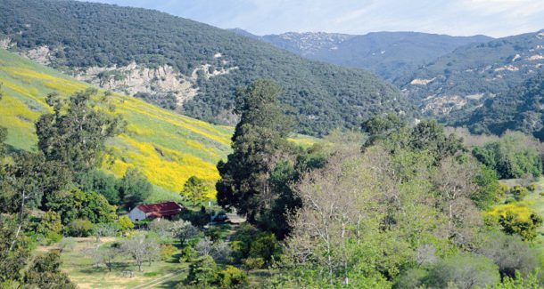Arroyo Hondo Preserve, Best Place to Hike in Santa Barbara, where to go in Santa Barbara, Nature Preserve