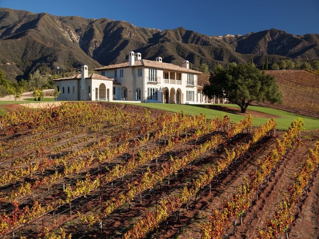 Stunning Coastal Vineyard Estate in Toro Canyon